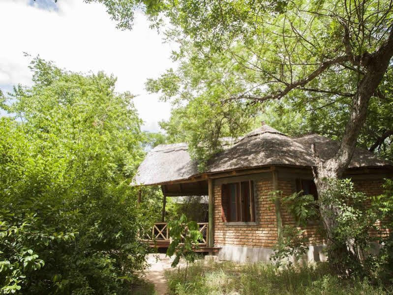 Selous Kinga Lodge Kwangwazi Luaran gambar